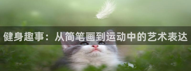 快体育五大联赛