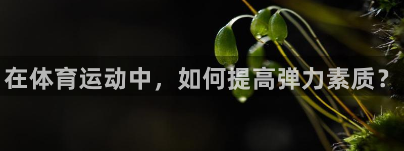 快体育app官方下载