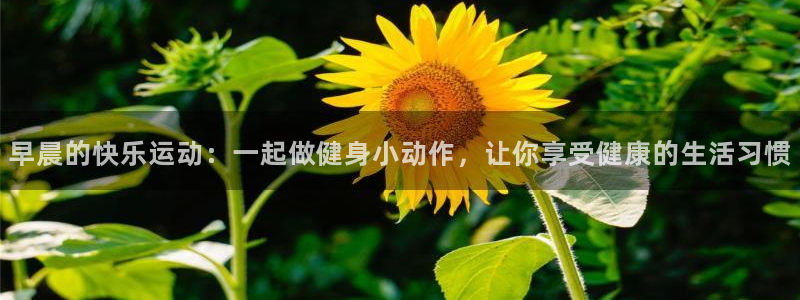 快体育直播五大联赛：早晨的快乐运动：一起做健身小动作，让你享受健康的生活习惯