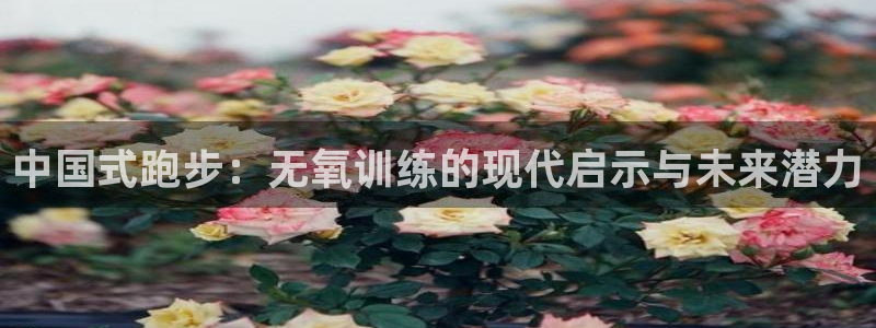 快体育五大联赛