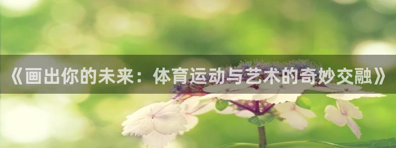 快体育足球篮球五大联赛