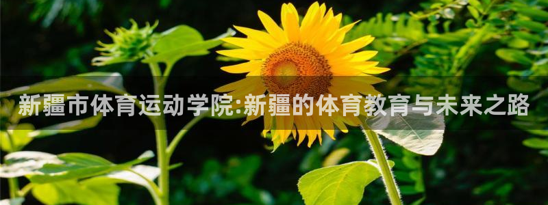 快体育官网