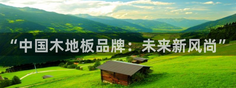 快体育直播五大联赛：“中国木地板品牌：未来新风尚”